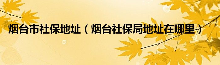 烟台市社保地址（烟台社保局地址在哪里）