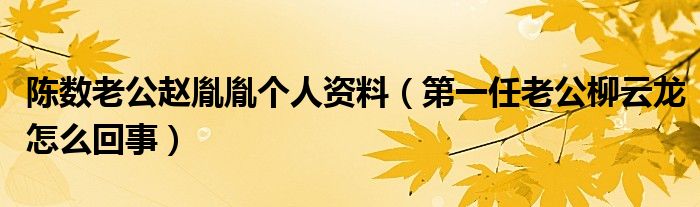 陈数老公赵胤胤个人资料（第一任老公柳云龙怎么回事）