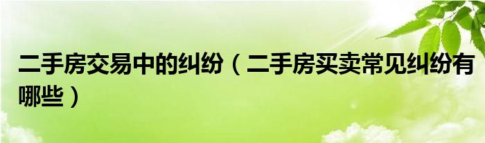 二手房交易中的纠纷（二手房买卖常见纠纷有哪些）