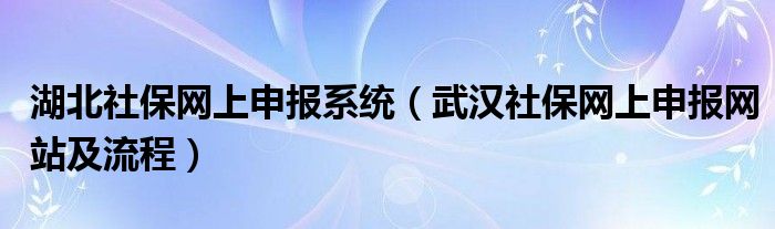 湖北社保网上申报系统（武汉社保网上申报网站及流程）