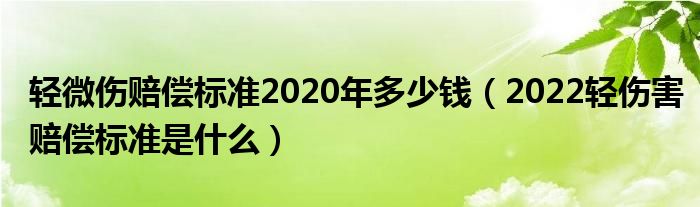 轻微伤赔偿标准2020年多少钱（2022轻伤害赔偿标准是什么）