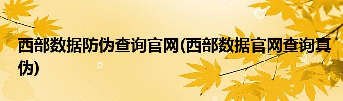 西部数据防伪查询官网(西部数据官网查询真伪)