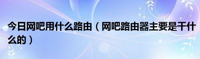 今日网吧用什么路由（网吧路由器主要是干什么的）