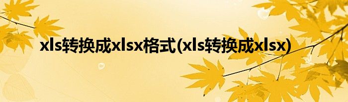 xls转换成xlsx格式(xls转换成xlsx)