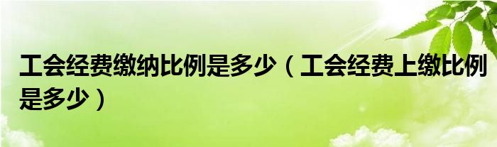 工会经费缴纳比例是多少（工会经费上缴比例是多少）