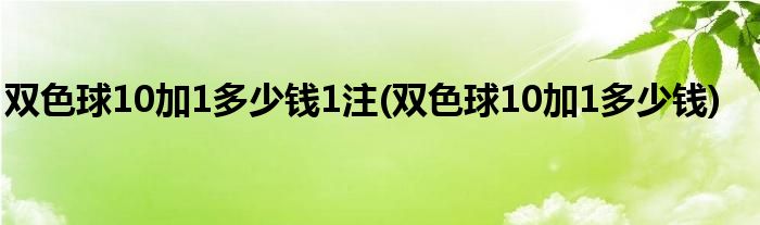 双色球10加1多少钱1注(双色球10加1多少钱)