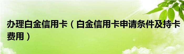 办理白金信用卡（白金信用卡申请条件及持卡费用）