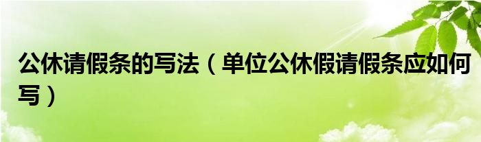 公休请假条的写法（单位公休假请假条应如何写）