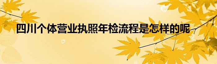 四川个体营业执照年检流程是怎样的呢