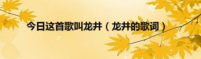 今日这首歌叫龙井（龙井的歌词）