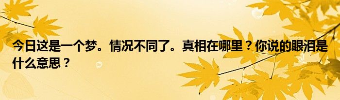 今日这是一个梦。情况不同了。真相在哪里？你说的眼泪是什么意思？