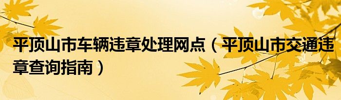 平顶山市车辆违章处理网点（平顶山市交通违章查询指南）