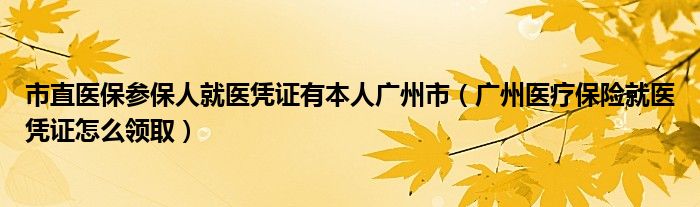 市直医保参保人就医凭证有本人广州市（广州医疗保险就医凭证怎么领取）