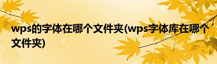 wps的字体在哪个文件夹(wps字体库在哪个文件夹)