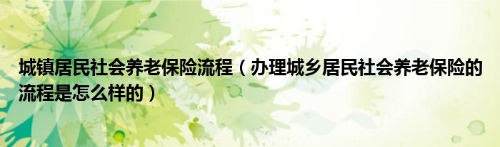 城镇居民社会养老保险流程（办理城乡居民社会养老保险的流程是怎么样的）