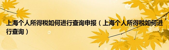 上海个人所得税如何进行查询申报（上海个人所得税如何进行查询）