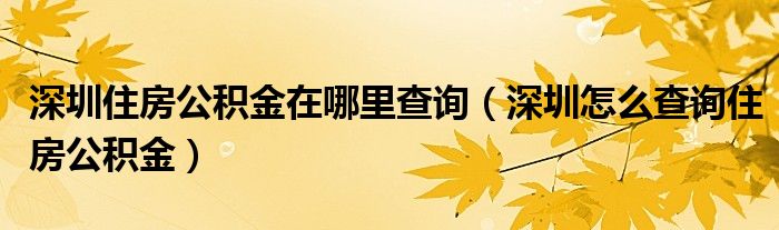 深圳住房公积金在哪里查询（深圳怎么查询住房公积金）