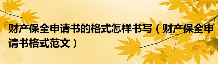 财产保全申请书的格式怎样书写（财产保全申请书格式范文）