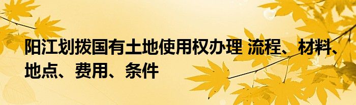 阳江划拨国有土地使用权办理 流程、材料、地点、费用、条件