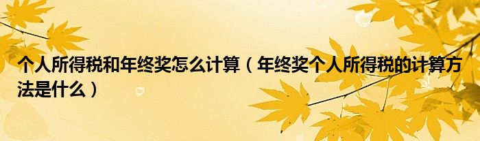 个人所得税和年终奖怎么计算（年终奖个人所得税的计算方法是什么）