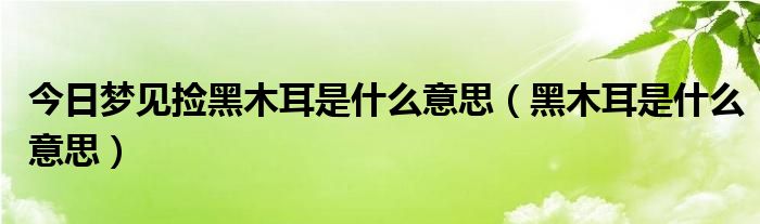 今日梦见捡黑木耳是什么意思（黑木耳是什么意思）