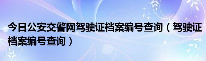 今日公安交警网驾驶证档案编号查询（驾驶证档案编号查询）