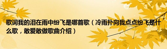 歌词我的泪在雨中纷飞是哪首歌（冷雨扑向我点点纷飞是什么歌，敢爱敢做歌曲介绍）