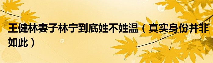 王健林妻子林宁到底姓不姓温（真实身份并非如此）