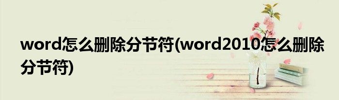 word怎么删除分节符(word2010怎么删除分节符)