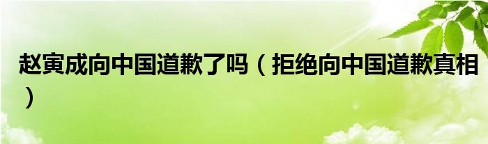 赵寅成向中国道歉了吗（拒绝向中国道歉真相）