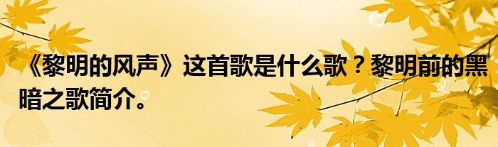 《黎明的风声》这首歌是什么歌？黎明前的黑暗之歌简介。