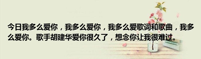 今日我多么爱你，我多么爱你，我多么爱歌词和歌曲，我多么爱你。歌手胡建华爱你很久了，想念你让我很难过。