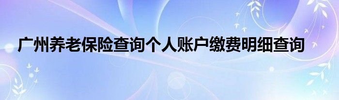 广州养老保险查询个人账户缴费明细查询