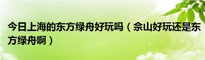 今日上海的东方绿舟好玩吗（佘山好玩还是东方绿舟啊）