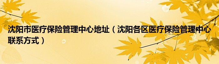 沈阳市医疗保险管理中心地址（沈阳各区医疗保险管理中心联系方式）