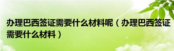 办理巴西签证需要什么材料呢（办理巴西签证需要什么材料）