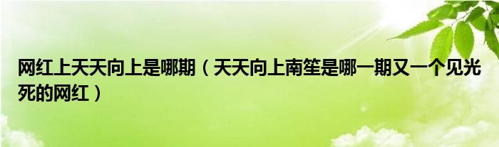 网红上天天向上是哪期（天天向上南笙是哪一期又一个见光死的网红）