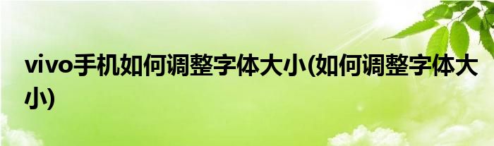 vivo手机如何调整字体大小(如何调整字体大小)