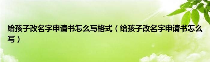 给孩子改名字申请书怎么写格式（给孩子改名字申请书怎么写）