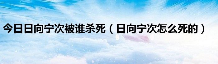 今日日向宁次被谁杀死（日向宁次怎么死的）