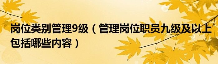 岗位类别管理9级（管理岗位职员九级及以上包括哪些内容）