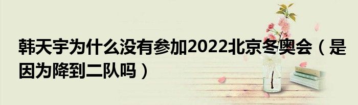 韩天宇为什么没有参加2022北京冬奥会（是因为降到二队吗）