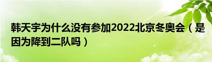 韩天宇为什么没有参加2022北京冬奥会（是因为降到二队吗）