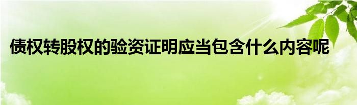 债权转股权的验资证明应当包含什么内容呢