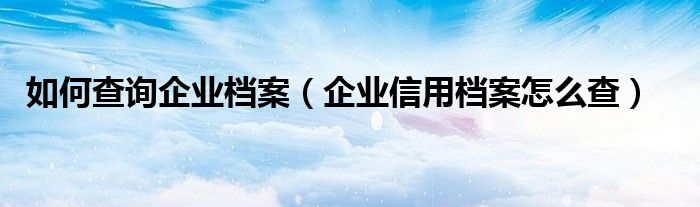 如何查询企业档案（企业信用档案怎么查）