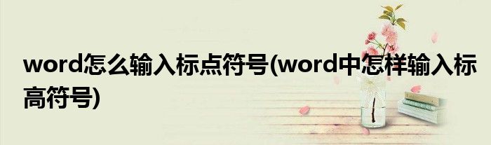 word怎么输入标点符号(word中怎样输入标高符号)