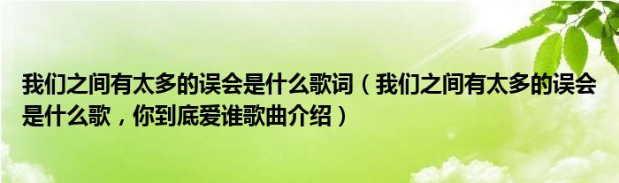 我们之间有太多的误会是什么歌词（我们之间有太多的误会是什么歌，你到底爱谁歌曲介绍）