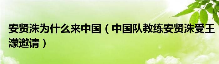 安贤洙为什么来中国（中国队教练安贤洙受王濛邀请）