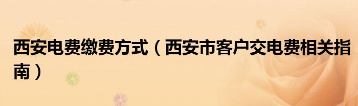 西安电费缴费方式（西安市客户交电费相关指南）