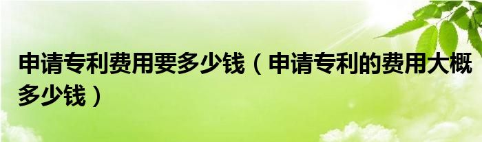 申请专利费用要多少钱（申请专利的费用大概多少钱）